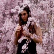 Profile picture for user hankabakox@gmail.com